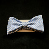 Bow-Tie - TRAILER Tie it Up