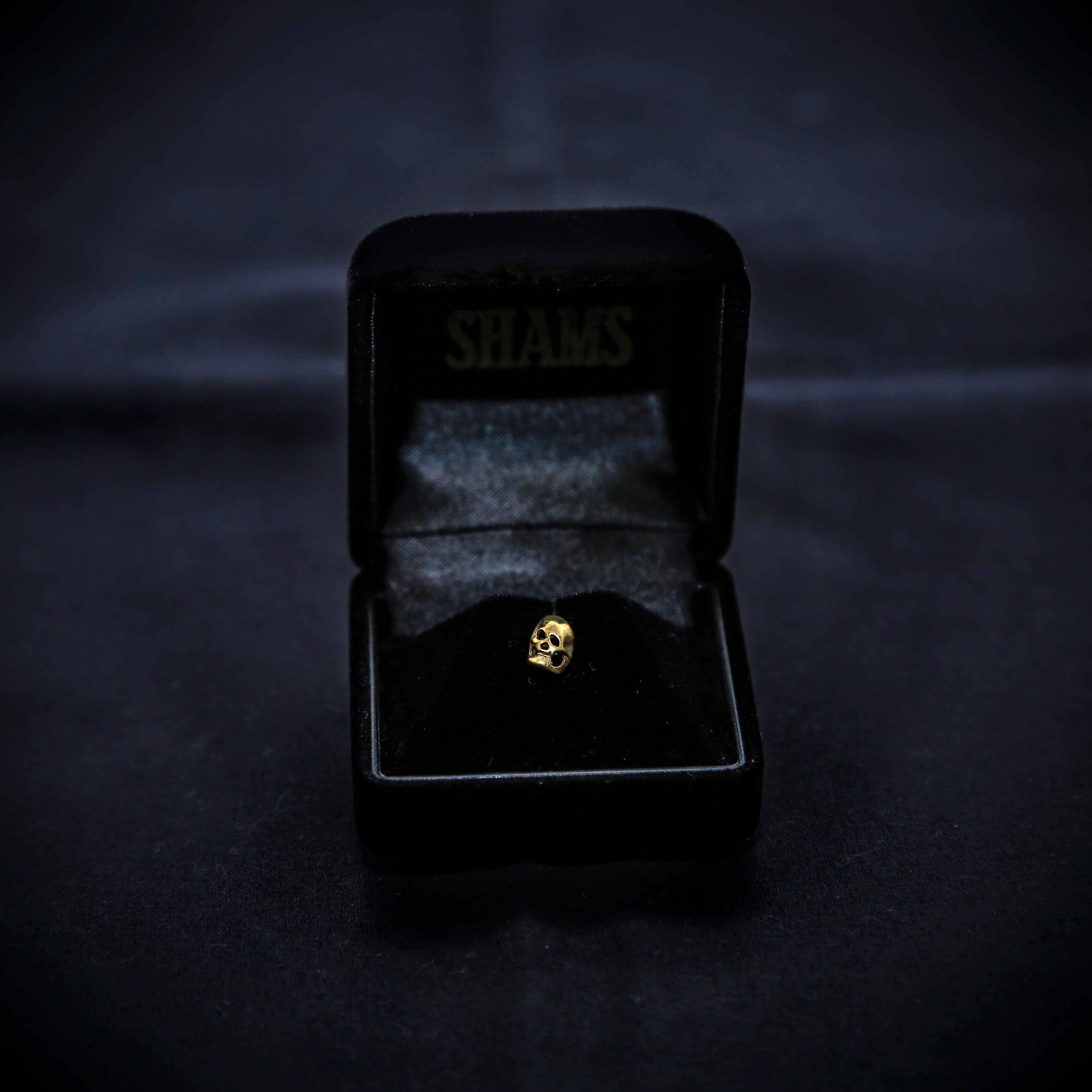 SHAMS of TOKIYO　”Pins skull"